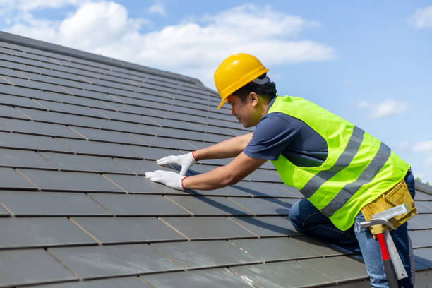 Best Best Roofing Contractors  in Thompson, ND