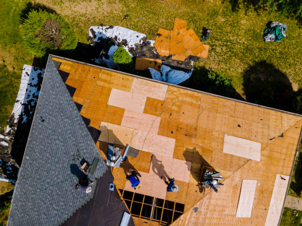 Best Roof Restoration Services  in Thompson, ND