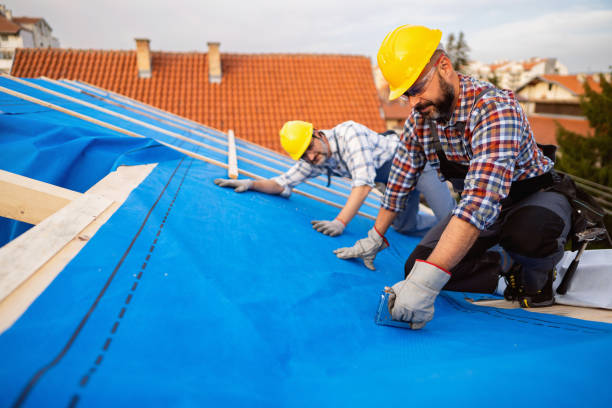 Quick and Trustworthy Emergency Roof Repair Services in Thompson, ND