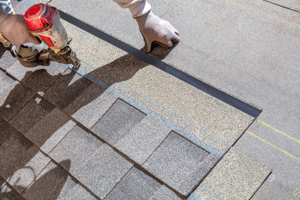 Best Storm Damage Roof Repair  in Thompson, ND