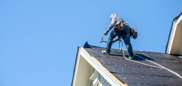 Best Roof Replacement Cost  in Thompson, ND